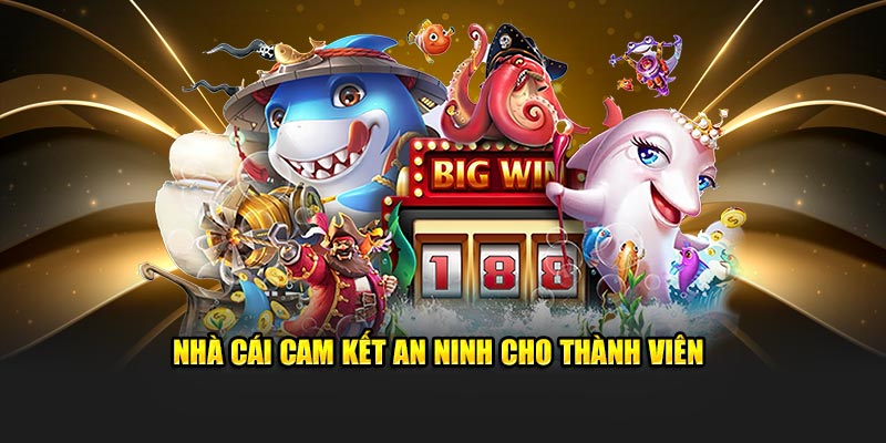 Nhà cái cam kết an ninh cho thành viên 